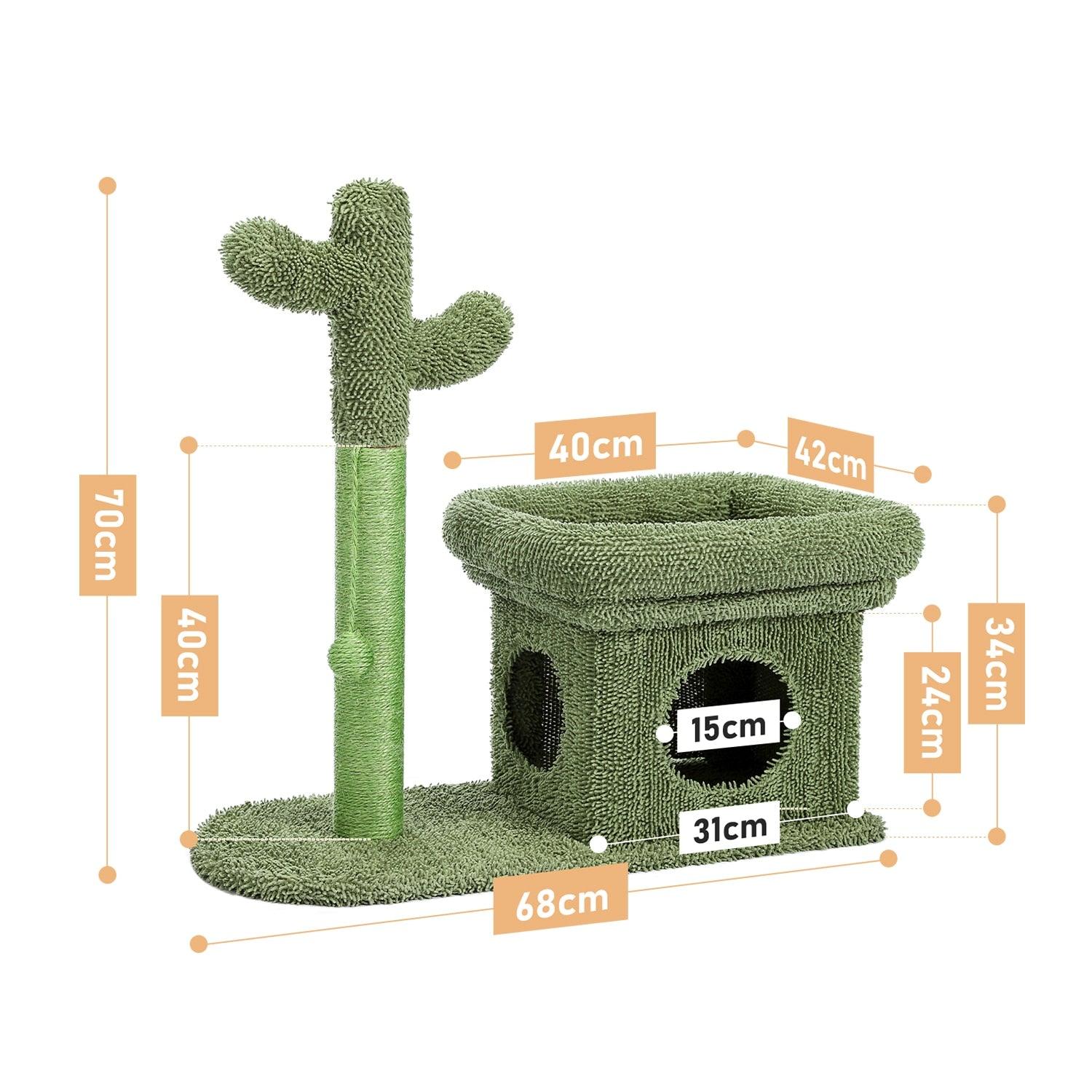 maison pour chat cactus