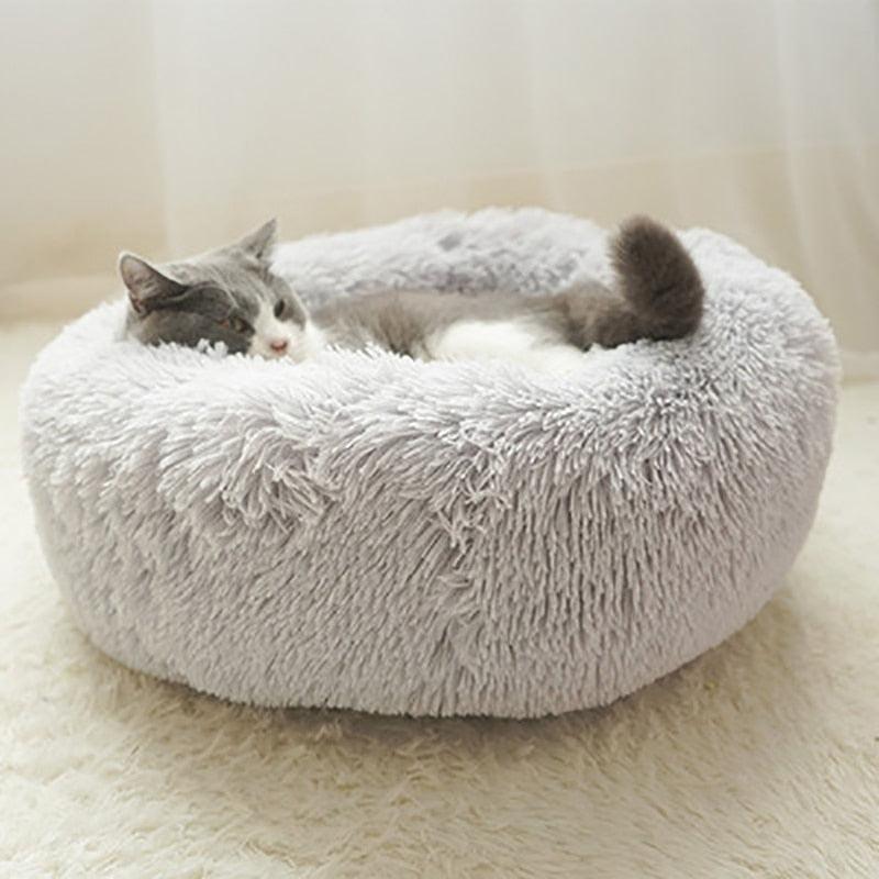 coussin chaton