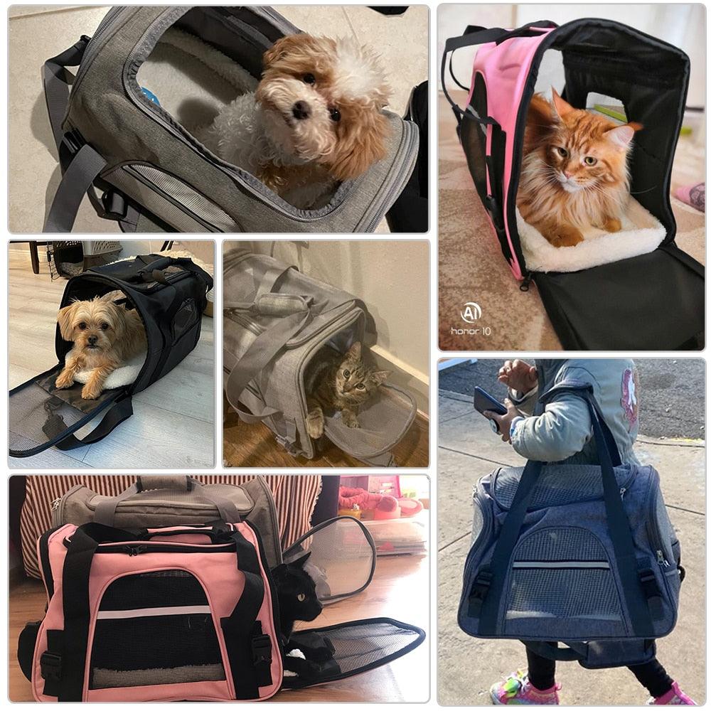 sac pour porter chat ou chien