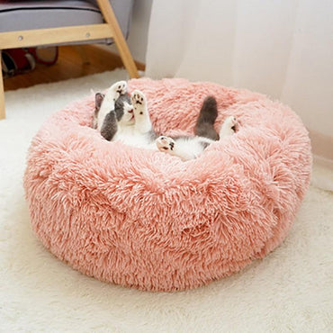 coussin confortable chat