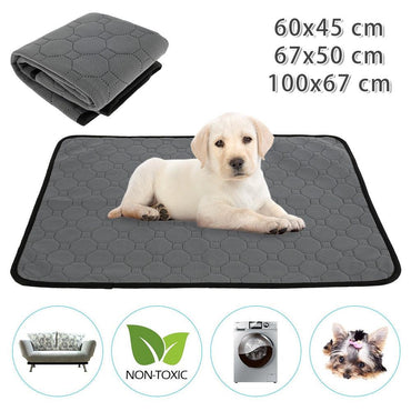 tapis pour chien